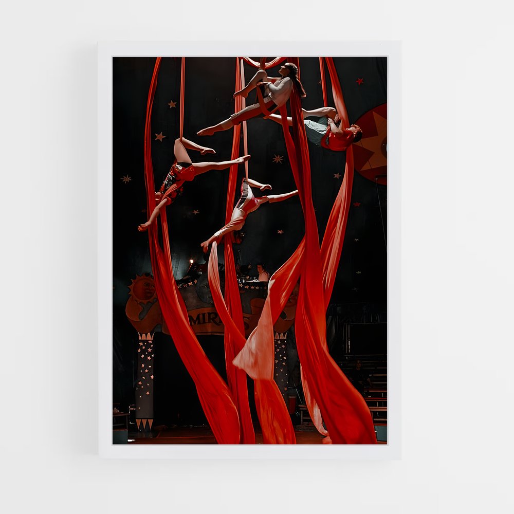 Poster Cirque de soleil (vue 3)